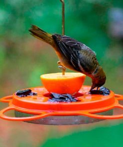 Fixwear.shop03d9dd799c 1