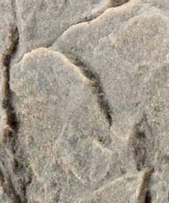 Fixwear.shop0523800cc0 1