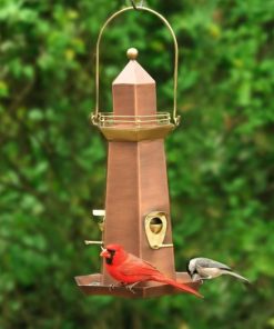 Fixwear.shop0ed1a4cc6a 2