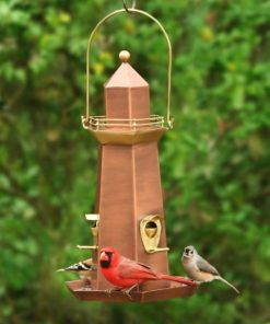 Fixwear.shop0ed1a4cc6a 3