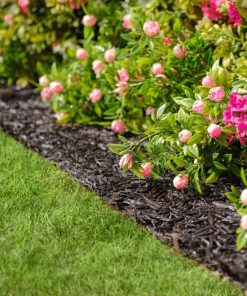 Fixwear.shop0f569faa89 4