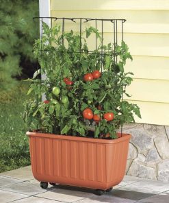 Fixwear.shop1840565dbd 1