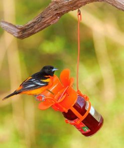 Fixwear.shop1abbae0d15 1