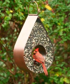 Fixwear.shop1f235fe24d 1