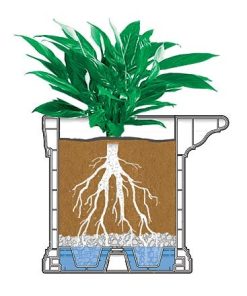 Fixwear.shop212004ee62 3