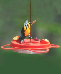 Fixwear.shop2f2da5086a 3