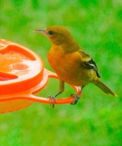 Fixwear.shop2f2da5086a 5