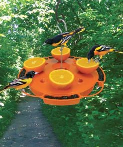 Fixwear.shop32da78cd74 1