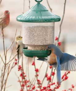 Fixwear.shop3c80426d9f 1