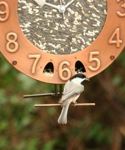 Fixwear.shop3d86ebe96a 2