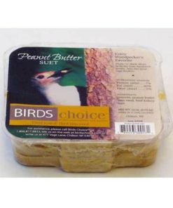 Fixwear.shop3d89b805f9 2