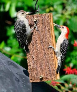 Fixwear.shop3d89b805f9 3