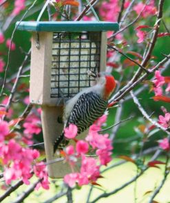 Fixwear.shop4577dacc22 1