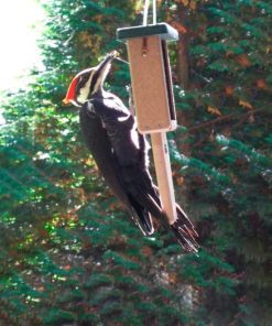 Fixwear.shop4577dacc22 2