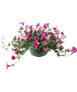 Fixwear.shop4766edfb6a 3