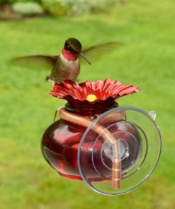 Fixwear.shop517272d0ef 1