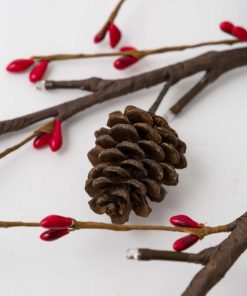 Fixwear.shop560f370649 3