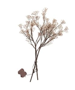 Fixwear.shop580a487ea2 4