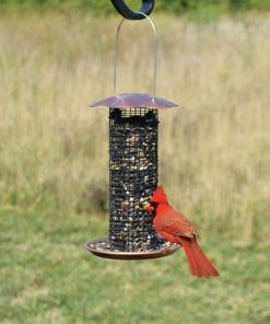 Fixwear.shop6229fcac7e 1