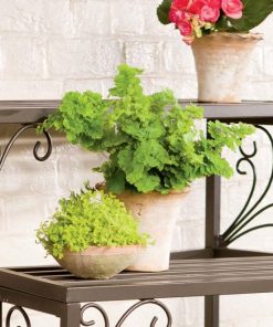 Fixwear.shop6564969f8b 2