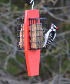 Fixwear.shop7ca41124bd 1