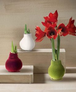 Fixwear.shop82b1fe7e9c 1