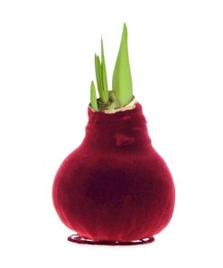 Fixwear.shop82b1fe7e9c 2