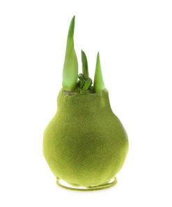 Fixwear.shop82b1fe7e9c 3