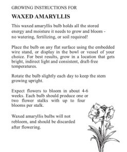 Fixwear.shop82b1fe7e9c 5