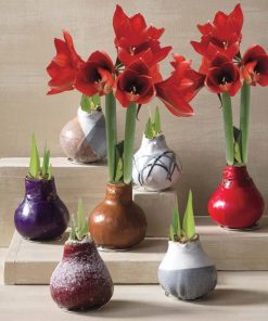 Fixwear.shop9fc9c89a5c 1