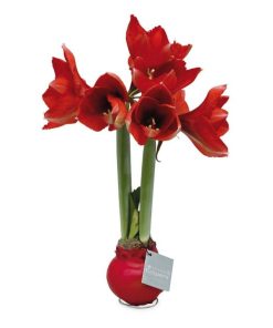 Fixwear.shop9fc9c89a5c 2