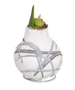 Fixwear.shop9fc9c89a5c 4