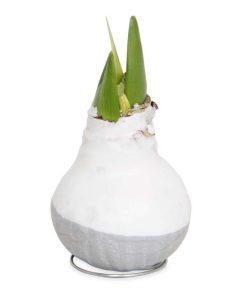 Fixwear.shop9fc9c89a5c 5