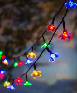 Fixwear.shopa4ac295e20 1