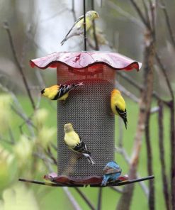 Fixwear.shopae3495aa25 1