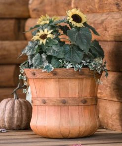 Fixwear.shopb1ae11c6f5 1