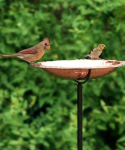 Fixwear.shopba2a41278a 1