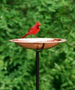 Fixwear.shopba2a41278a 2