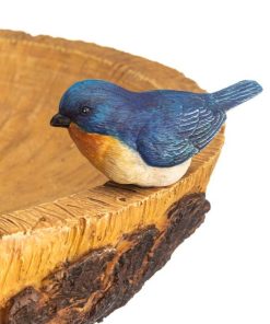 Fixwear.shopbb6ea96065 5