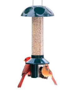 Fixwear.shopc5ac01d8c1 1