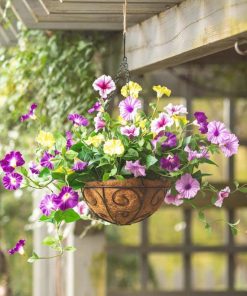 Fixwear.shopdc8c4f92be 1