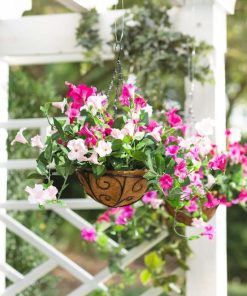 Fixwear.shopdc8c4f92be 5