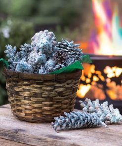 Fixwear.shopeff12bda23 1