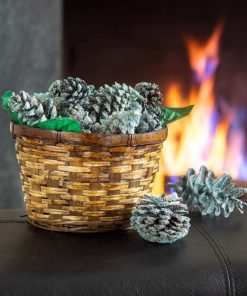 Fixwear.shopeff12bda23 2